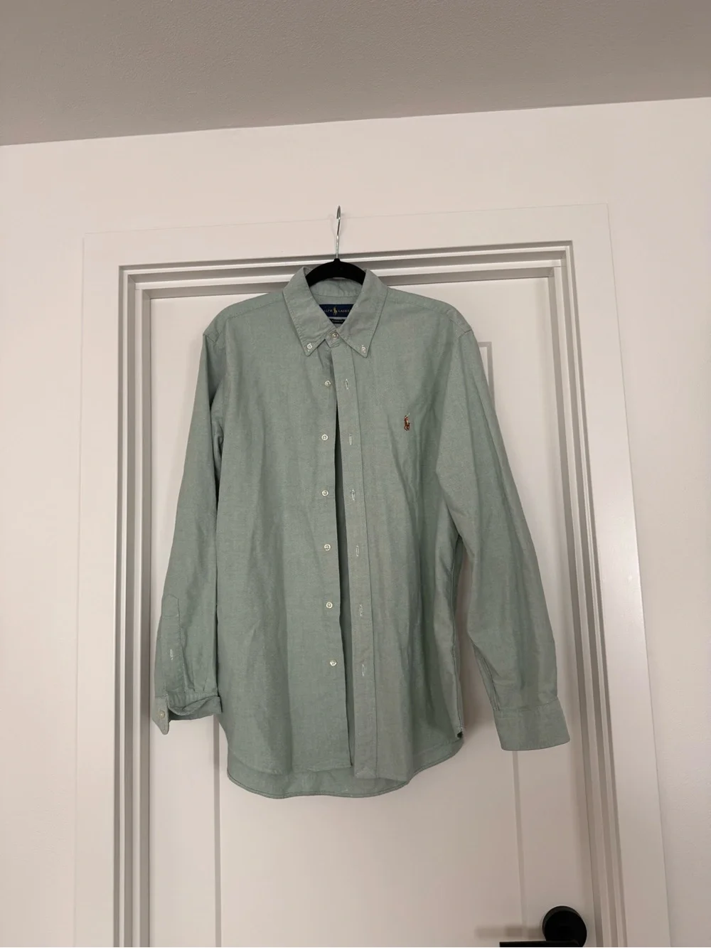 Polo by Ralph Lauren Sage Green Long-Sleeve Button-Down Shirt